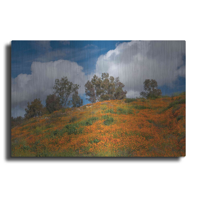 'Poppies, Trees & Clouds' by John Gavrilis – Metal Wall Art