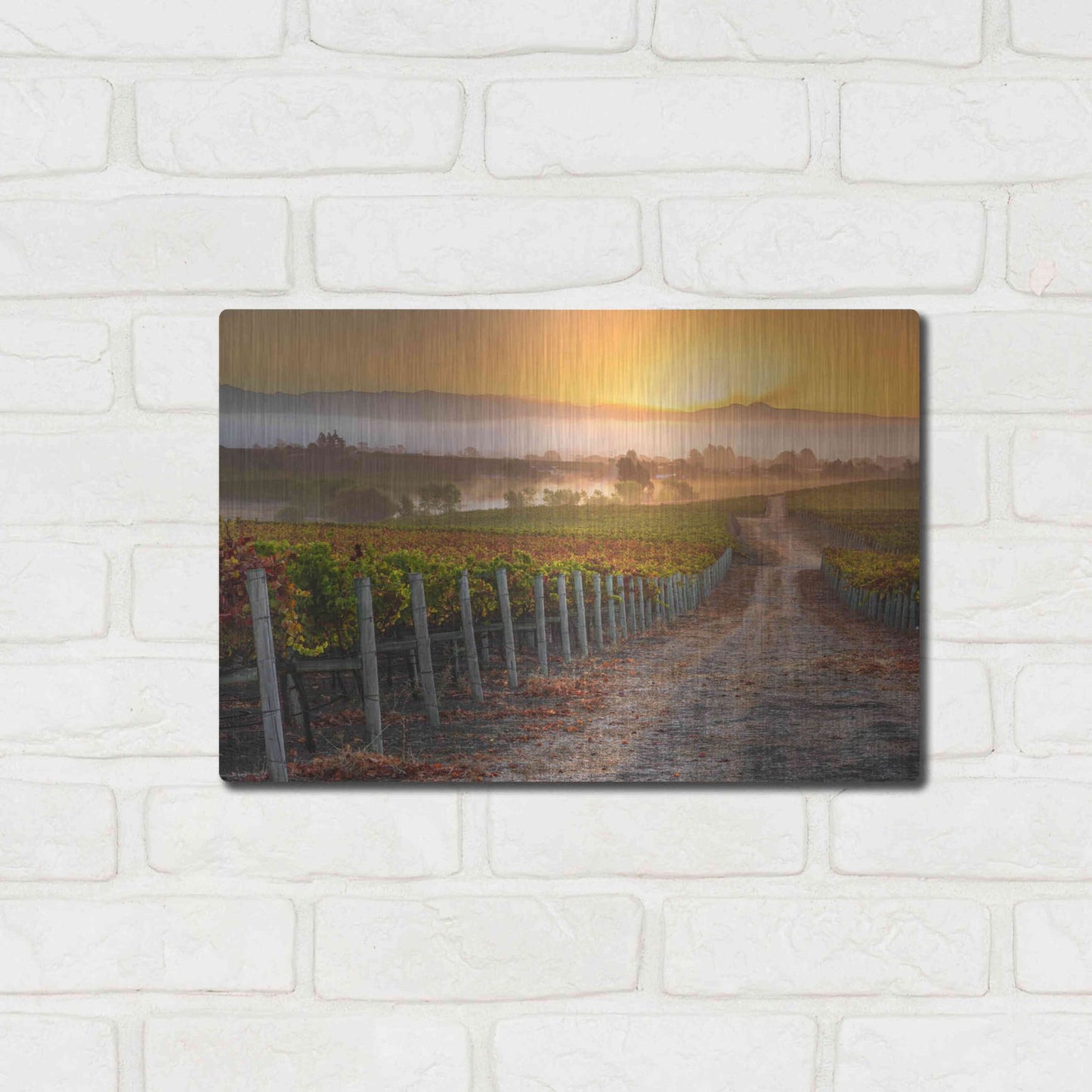 Luxe Metal Art 'Vineyard Sunrise' by John Gavrilis, Metal Wall Art,16x12