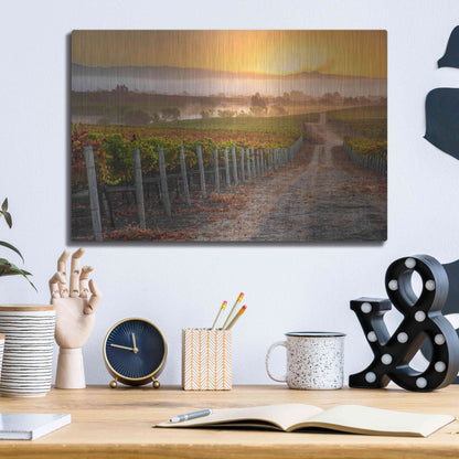 Luxe Metal Art 'Vineyard Sunrise' by John Gavrilis, Metal Wall Art,16x12