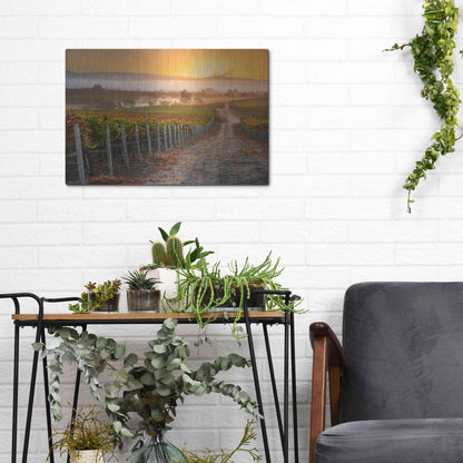 Luxe Metal Art 'Vineyard Sunrise' by John Gavrilis, Metal Wall Art,16x12