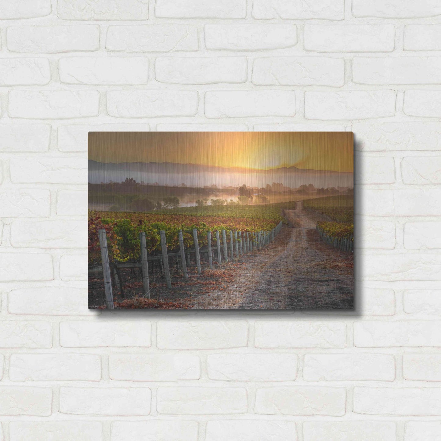 Luxe Metal Art 'Vineyard Sunrise' by John Gavrilis, Metal Wall Art,24x16