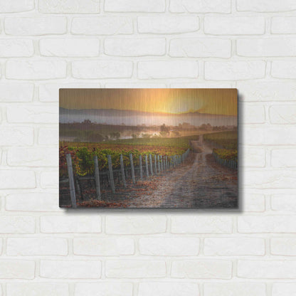 Luxe Metal Art 'Vineyard Sunrise' by John Gavrilis, Metal Wall Art,24x16