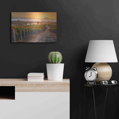 Luxe Metal Art 'Vineyard Sunrise' by John Gavrilis, Metal Wall Art,24x16