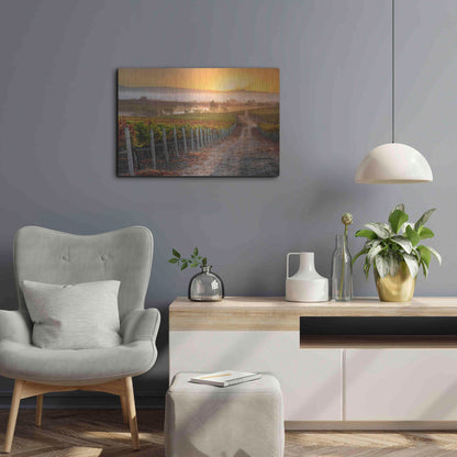 Luxe Metal Art 'Vineyard Sunrise' by John Gavrilis, Metal Wall Art,24x16