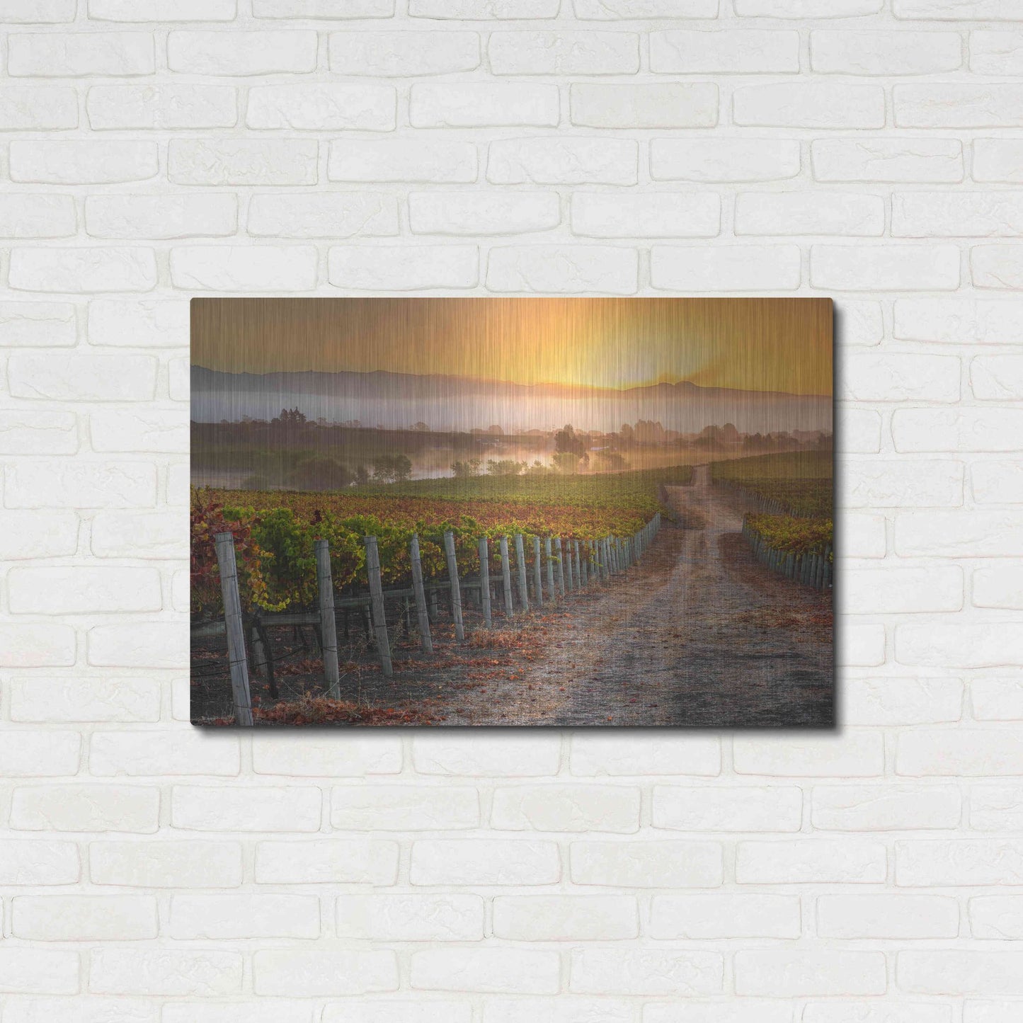 Luxe Metal Art 'Vineyard Sunrise' by John Gavrilis, Metal Wall Art,36x24