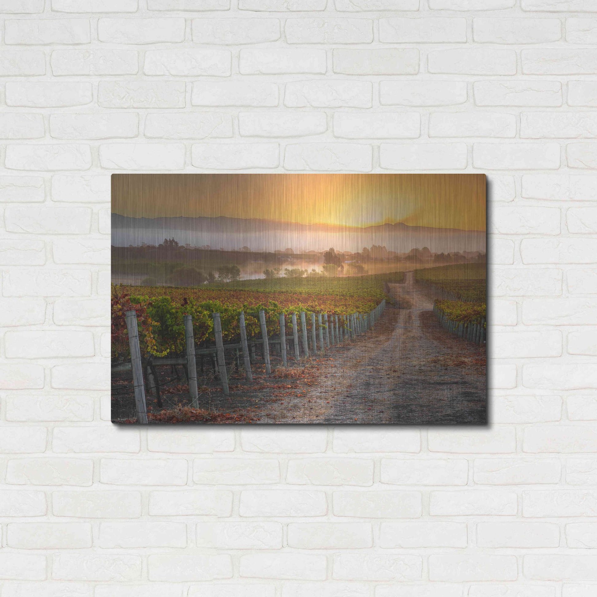 Luxe Metal Art 'Vineyard Sunrise' by John Gavrilis, Metal Wall Art,36x24