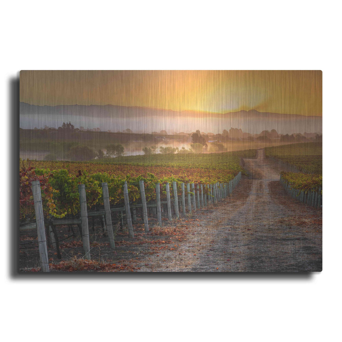 'Vineyard Sunrise' by John Gavrilis, Metal Wall Art