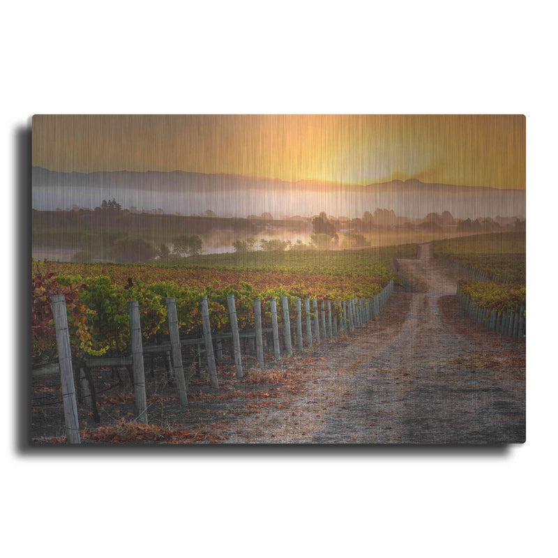 'Vineyard Sunrise' by John Gavrilis – Metal Wall Art
