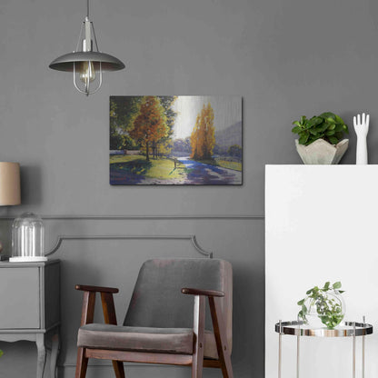 Luxe Metal Art 'Autumn Light' by Graham Gercken, Metal Wall Art,24x16