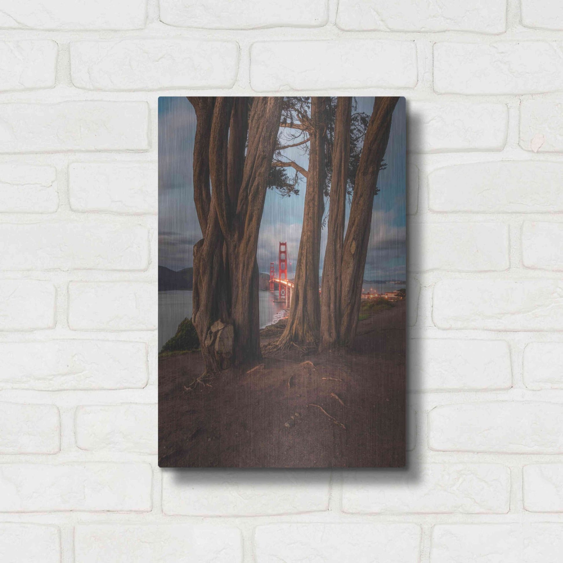 Luxe Metal Art 'Between the Trees' by Bruce Getty, Metal Wall Art,12x16