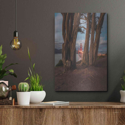 Luxe Metal Art 'Between the Trees' by Bruce Getty, Metal Wall Art,12x16