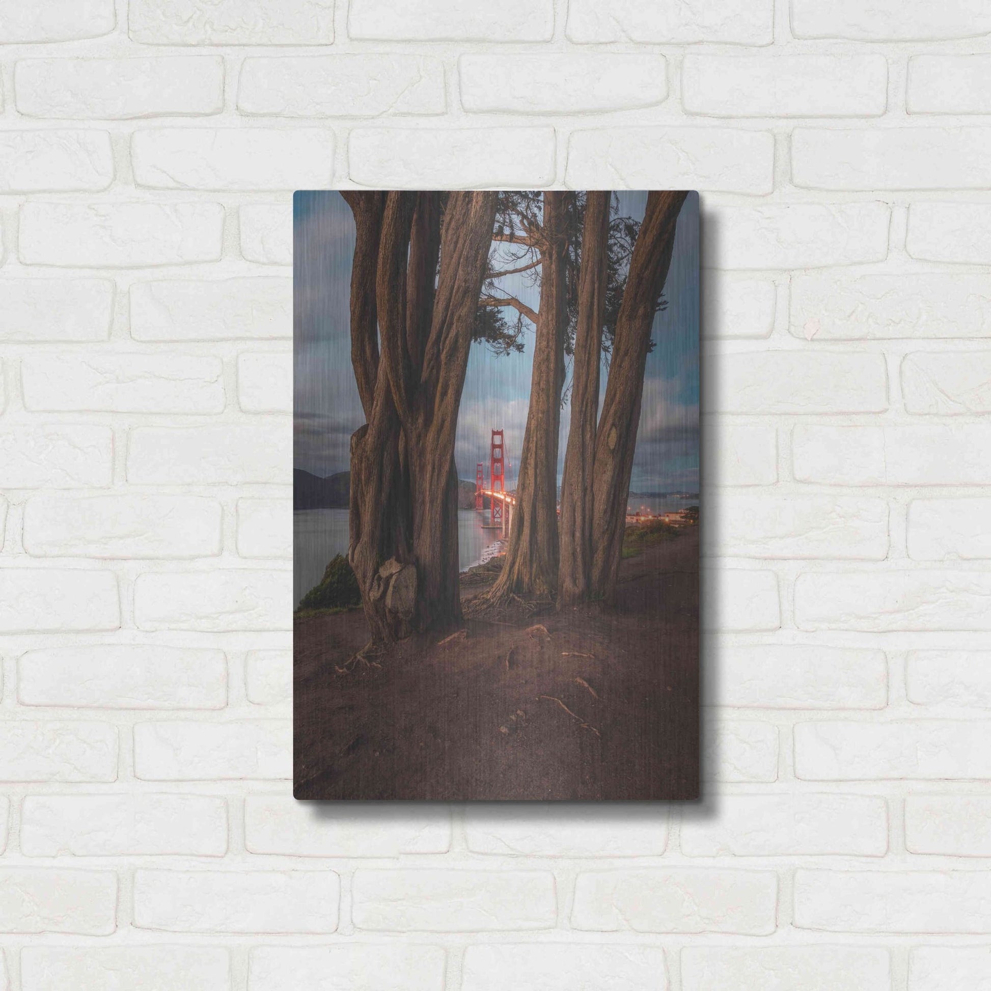 Luxe Metal Art 'Between the Trees' by Bruce Getty, Metal Wall Art,16x24