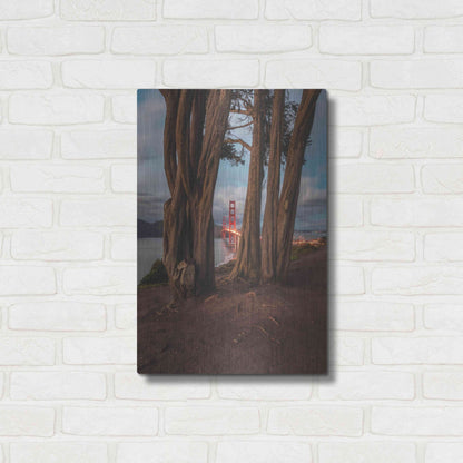 Luxe Metal Art 'Between the Trees' by Bruce Getty, Metal Wall Art,16x24