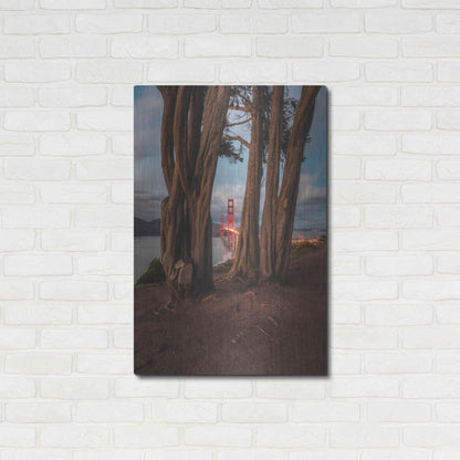 Luxe Metal Art 'Between the Trees' by Bruce Getty, Metal Wall Art,24x36