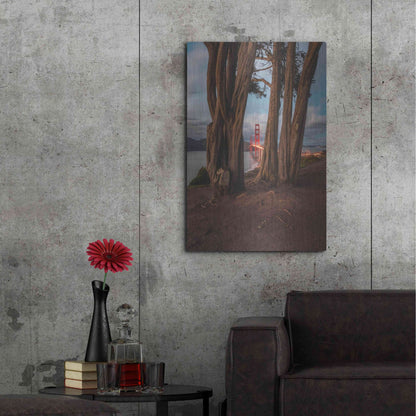 Luxe Metal Art 'Between the Trees' by Bruce Getty, Metal Wall Art,24x36