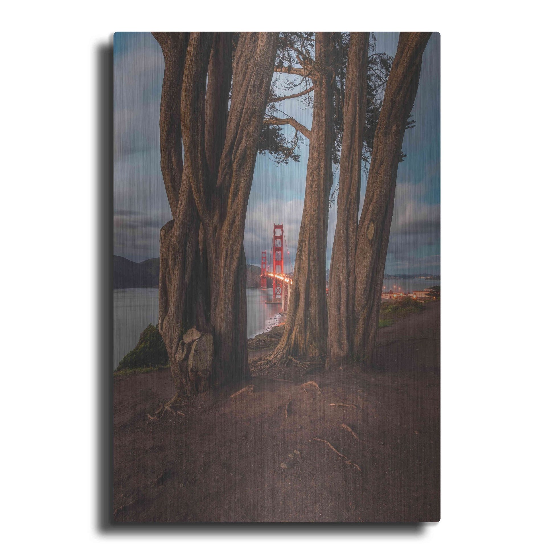 Luxe Metal Art 'Between the Trees' by Bruce Getty, Metal Wall Art