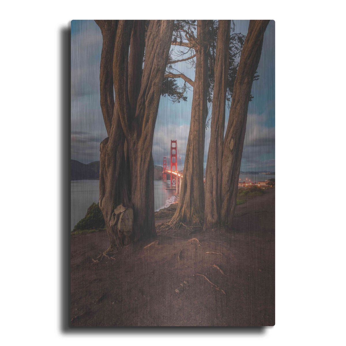 Luxe Metal Art 'Between the Trees' by Bruce Getty, Metal Wall Art