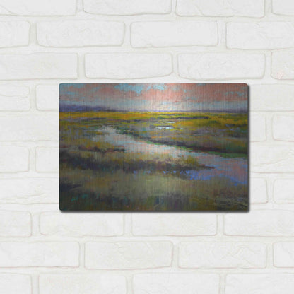 Luxe Metal Art 'A Glimmer on the Marsh' by Alejandra Goss, Metal Wall Art,16x12