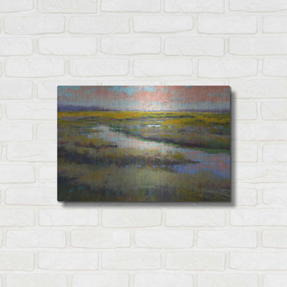 Luxe Metal Art 'A Glimmer on the Marsh' by Alejandra Goss, Metal Wall Art,24x16