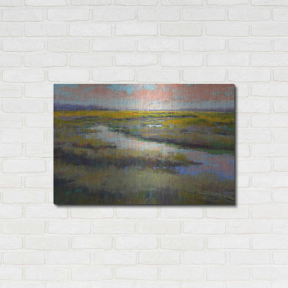 Luxe Metal Art 'A Glimmer on the Marsh' by Alejandra Goss, Metal Wall Art,36x24