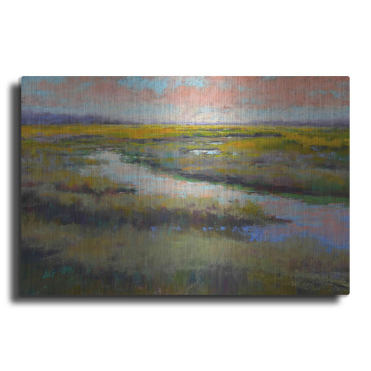 Luxe Metal Art 'A Glimmer on the Marsh' by Alejandra Goss, Metal Wall Art