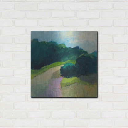 Luxe Metal Art 'A Different Day A Different Walk' by Ann Gordon, Metal Wall Art,24x24