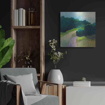 Luxe Metal Art 'A Different Day A Different Walk' by Ann Gordon, Metal Wall Art,24x24