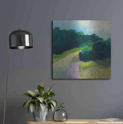 Luxe Metal Art 'A Different Day A Different Walk' by Ann Gordon, Metal Wall Art,24x24