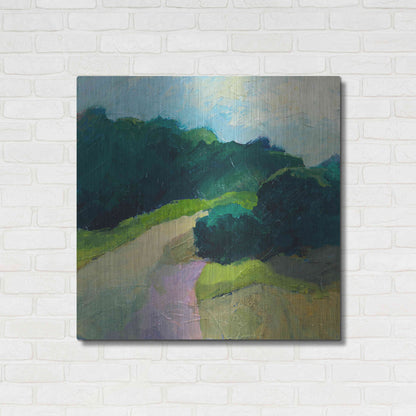 Luxe Metal Art 'A Different Day A Different Walk' by Ann Gordon, Metal Wall Art,36x36