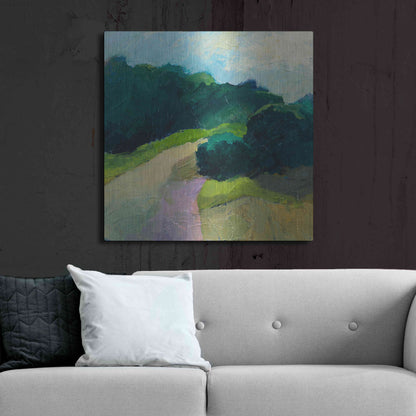 Luxe Metal Art 'A Different Day A Different Walk' by Ann Gordon, Metal Wall Art,36x36