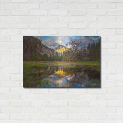 Luxe Metal Art 'A Mother’s Tree' by Ann Gordon, Metal Wall Art,36x24
