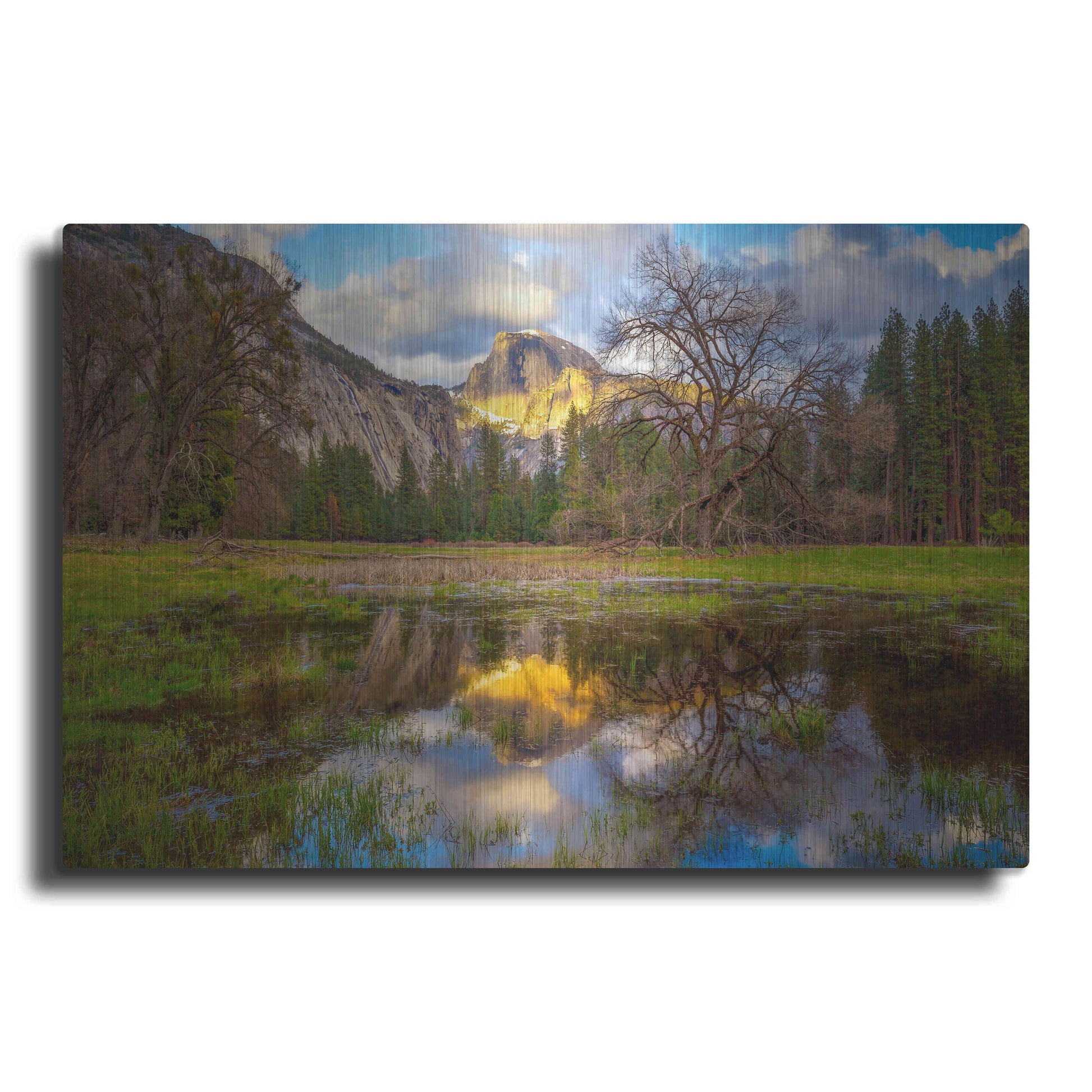Luxe Metal Art 'A Mother’s Tree' by Ann Gordon, Metal Wall Art