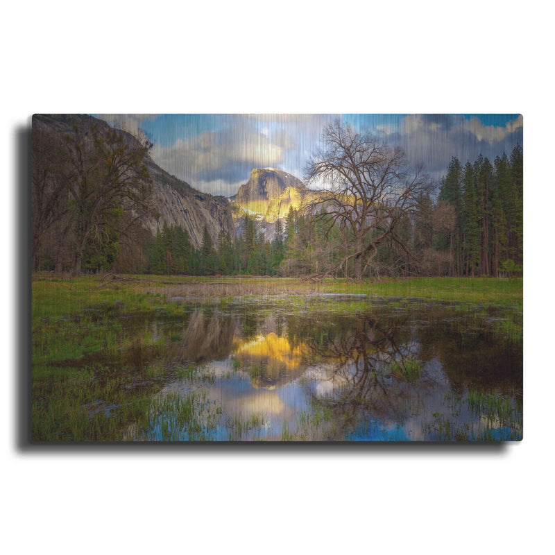 'A Mother’s Tree' by Ann Gordon – Metal Wall Art