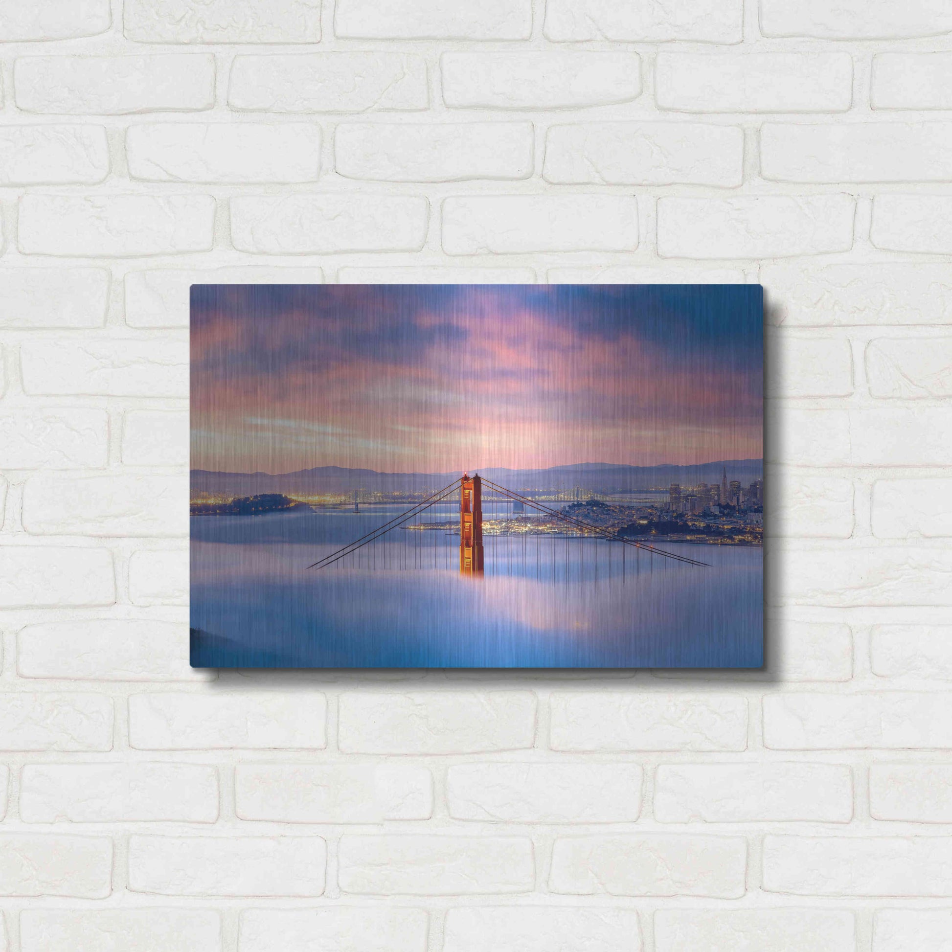 Luxe Metal Art 'Anomaly' by Ann Gordon, Metal Wall Art,24x16