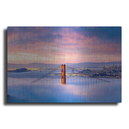 Luxe Metal Art 'Anomaly' by Ann Gordon, Metal Wall Art