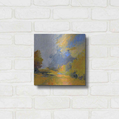 Luxe Metal Art 'Changes' by Ann Gordon, Metal Wall Art,12x12