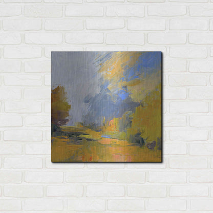 Luxe Metal Art 'Changes' by Ann Gordon, Metal Wall Art,24x24