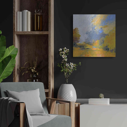 Luxe Metal Art 'Changes' by Ann Gordon, Metal Wall Art,24x24
