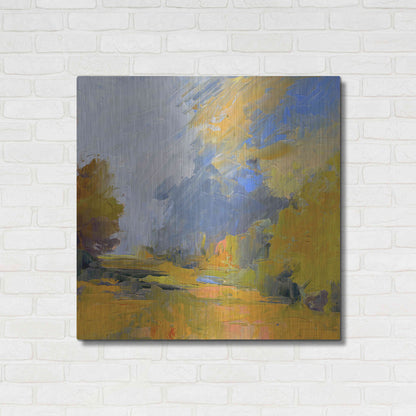 Luxe Metal Art 'Changes' by Ann Gordon, Metal Wall Art,36x36