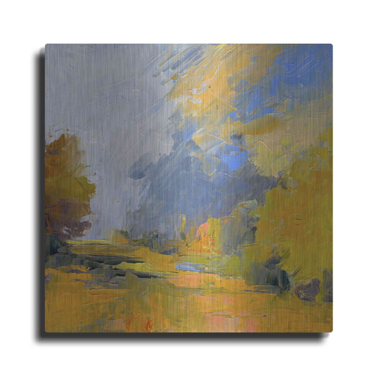 Luxe Metal Art 'Changes' by Ann Gordon, Metal Wall Art