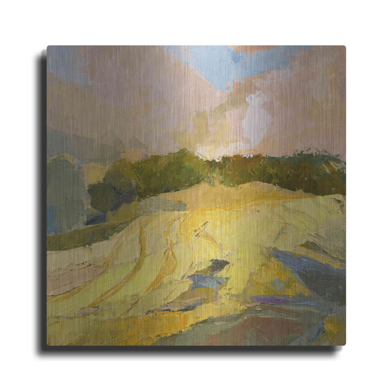 'Overcast Farm Day' by Ann Gordon – Metal Wall Art