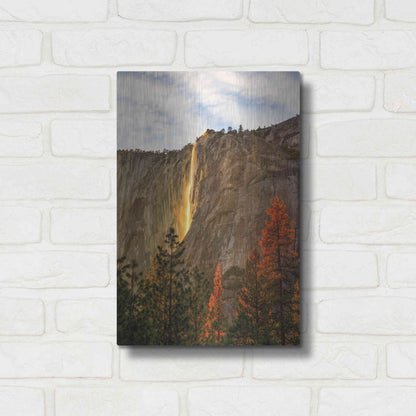 Luxe Metal Art 'The Lost Fire' by Ann Gordon, Metal Wall Art,12x16