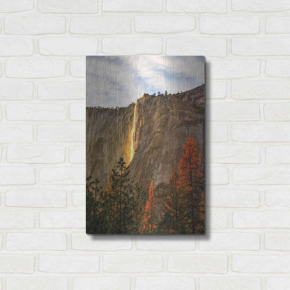 Luxe Metal Art 'The Lost Fire' by Ann Gordon, Metal Wall Art,16x24