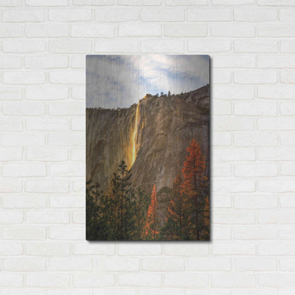 Luxe Metal Art 'The Lost Fire' by Ann Gordon, Metal Wall Art,24x36