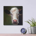 'Frances' by Carl J Humphry – Metal Wall Art, 12x12 room view