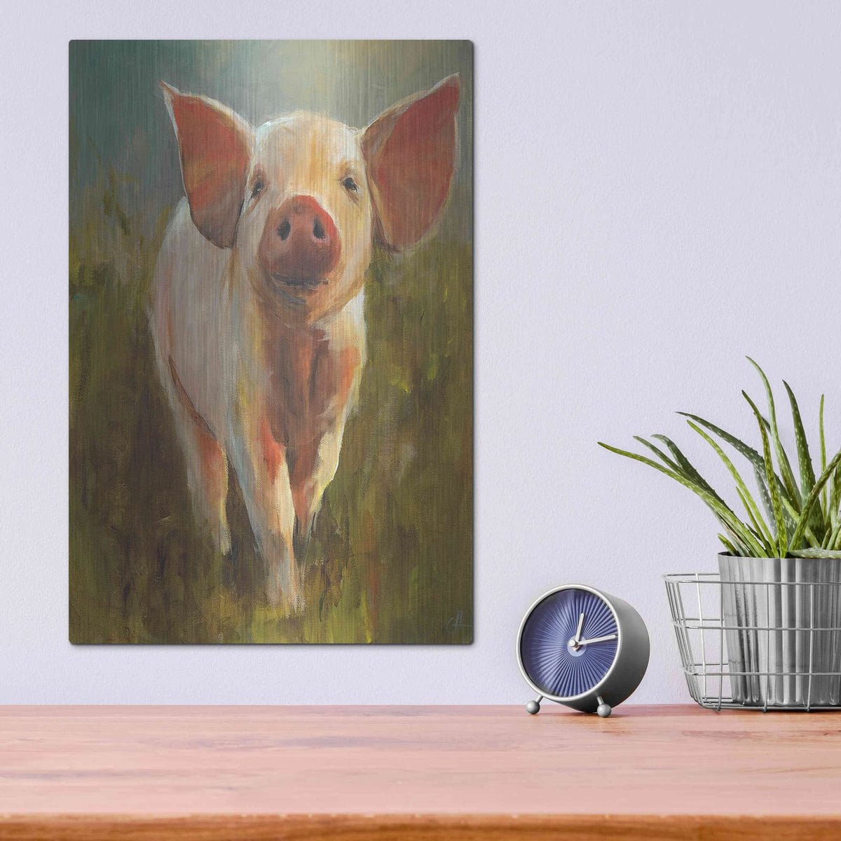 'Morning Pig' by Carl J Humphry – Metal Wall Art, 12x16 room view