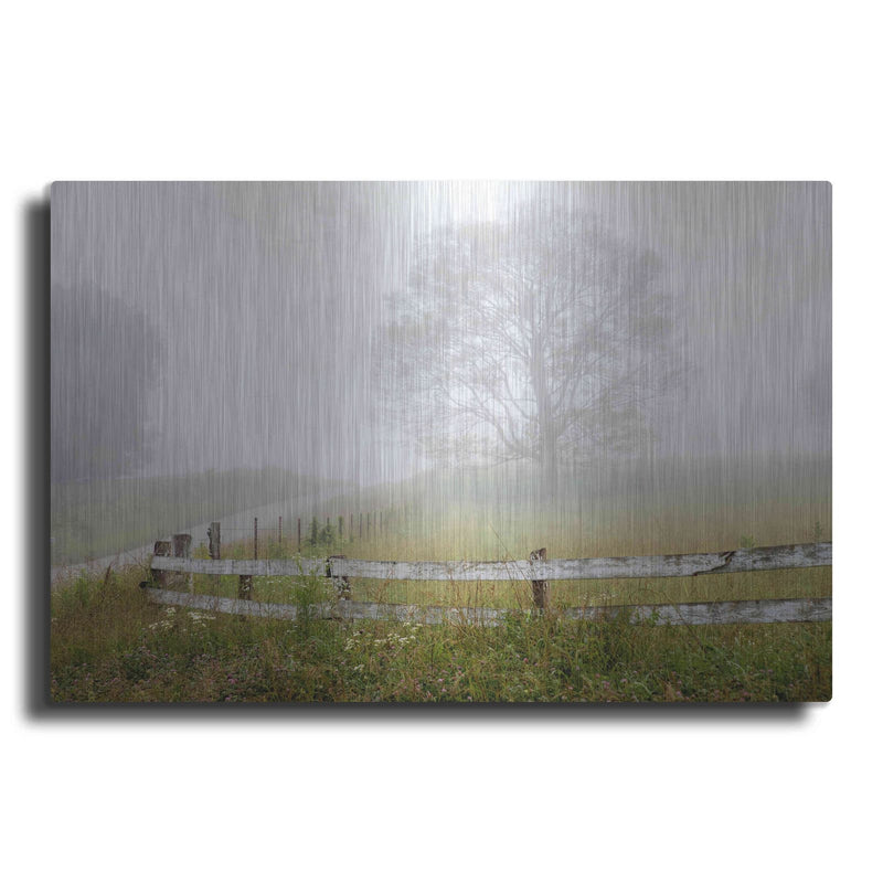'Foggy Rural Scene' by David Hammond – Metal Wall Art