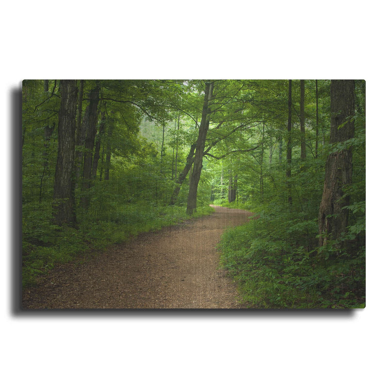 'Summer Walk' by David Hammond – Metal Wall Art