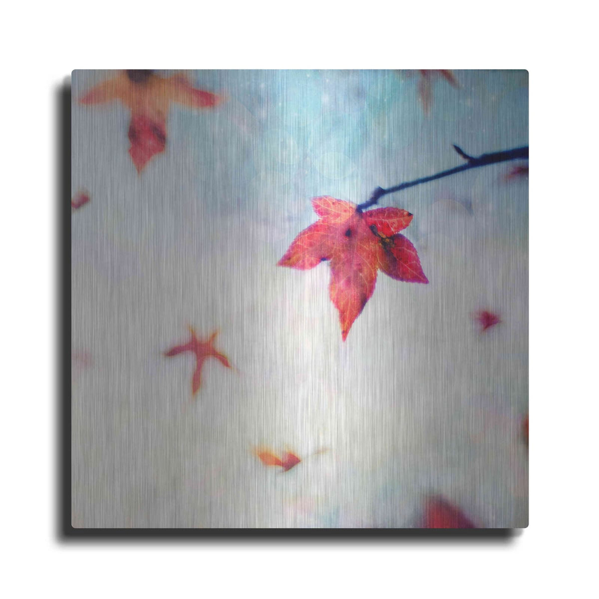 'All Fall Down' by Dawn D Hanna – Metal Wall Art