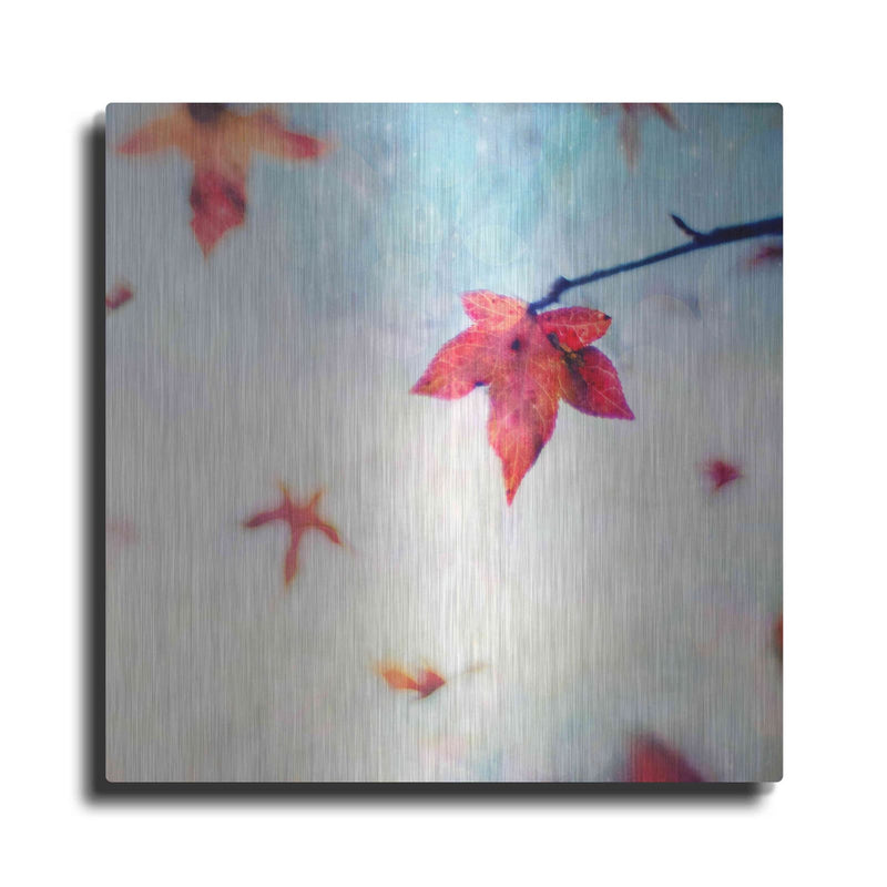 'All Fall Down' by Dawn D Hanna – Metal Wall Art
